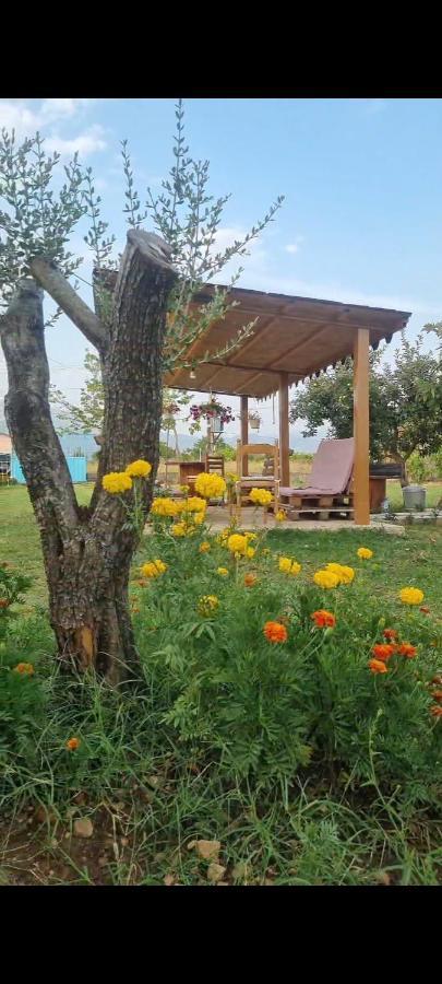 Bed & Breakfast Ballkan 1